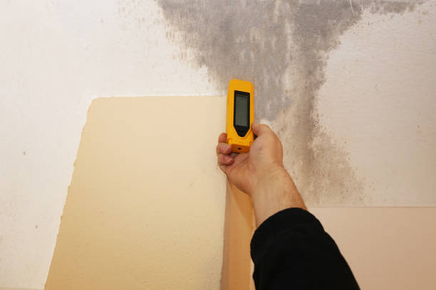 Best Post-Construction Mold Inspection  in Halfway House, PA