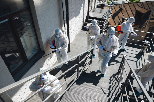 Best Attic Mold Removal  in Halfway House, PA