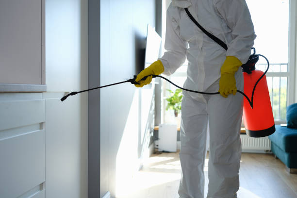 Best Mold Odor Removal Services  in Halfway House, PA