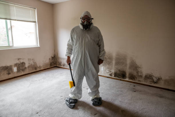 Mold Documentation for Insurance Claims in Halfway House, PA