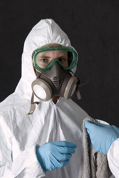 Best Black Mold Removal  in Halfway House, PA